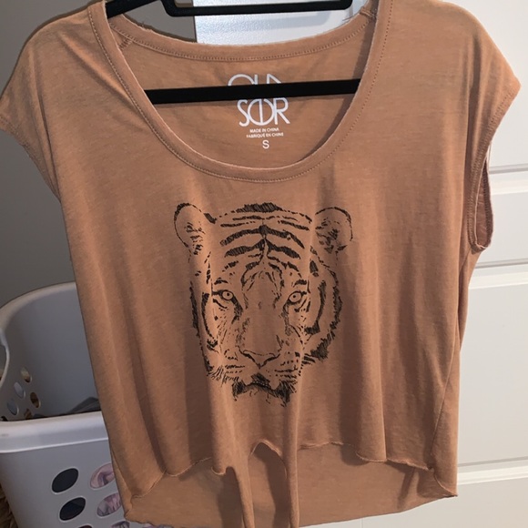 Tiger Top - Picture 2 of 2